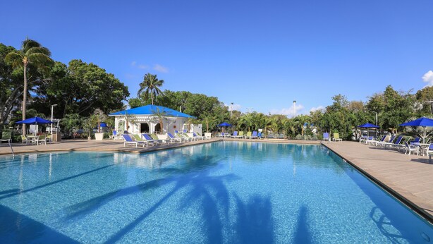 A clear swimming pool with lounge chairs and umbrellas, surrounded by palm trees and a clear blue sky.