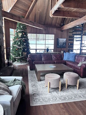 Smart TV, fireplace, books