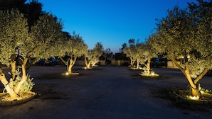 A paved driveway flanked by olive trees with lights, leading to a building with a stone wall and a gate. - AGRITURISMO SCALELLE (Otranto)