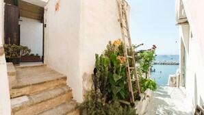 A narrow staircase leading to a balcony overlooking a coastal area with a wooden ladder and potted plants. - Corricella Hammok - Gioia Apartments (Procida)