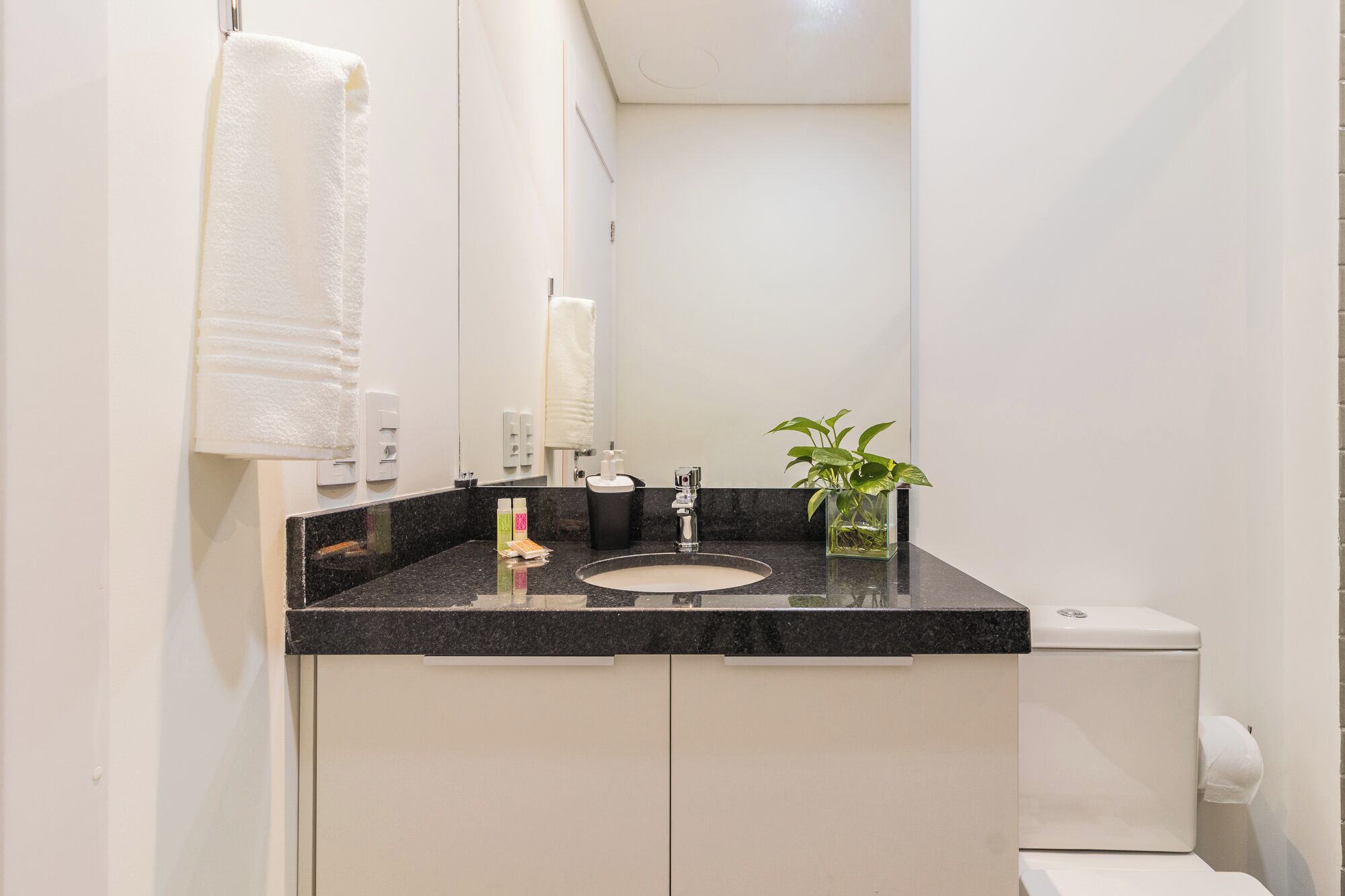 A bathroom with a black countertop, a sink, a mirror, a toilet, and a small plant in a glass container.