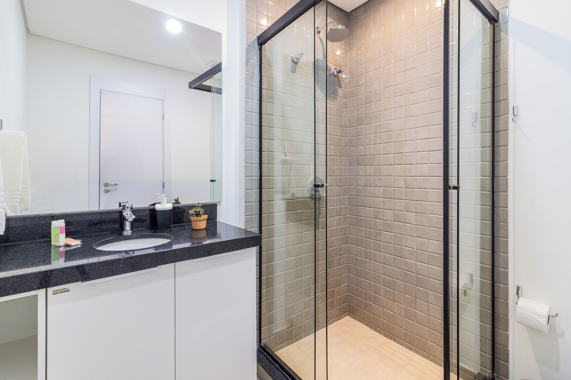 Un baño moderno con ducha de vidrio, un lavamanos con encimera negra y una planta en el mostrador.