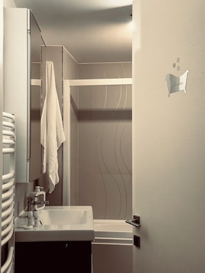 Jetted bath, hair dryer, bidet, towels