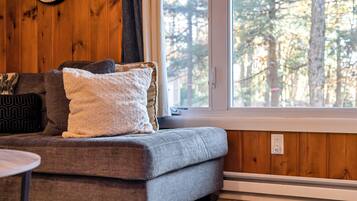 Smart TV, fireplace, books