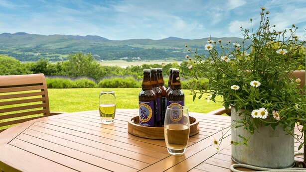A wooden table with three bottles of beer, a glass of beer, and a potted plant with white flowers.