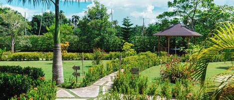 Área da propriedade