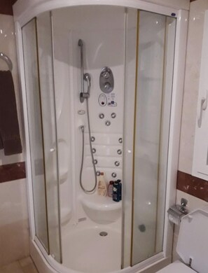 Bathroom features a glass-enclosed shower with handheld and fixed showerheads, a bathtub, and storage for toiletries.