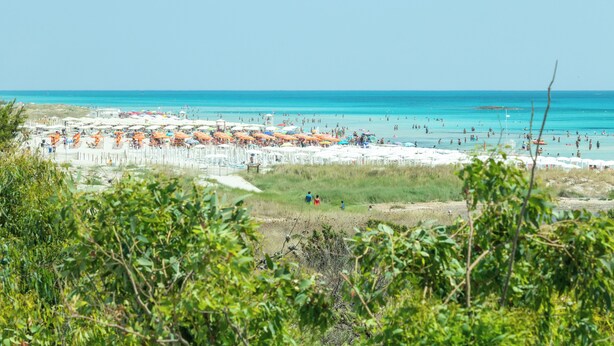 Beach/ocean view - Casa vacanza Appartamento Spiaggiati (Ugento)