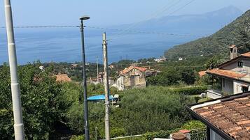 Terras