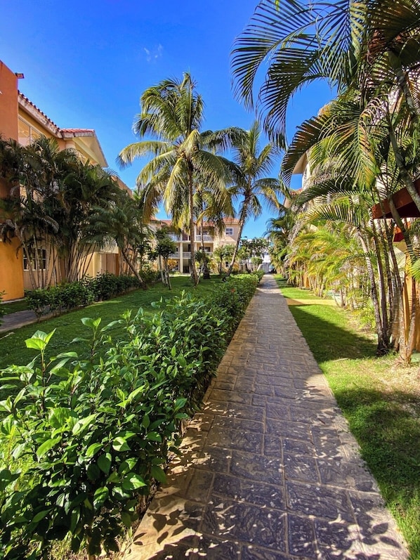 Property grounds - Cozy Apartment, backyard & balcony pool first floor gated, electricity included. (Punta Cana)