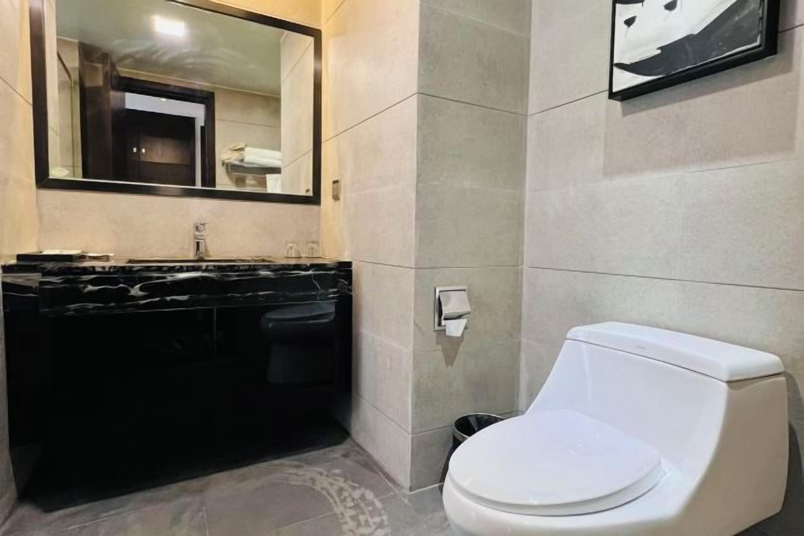 A bathroom with a black marble sink, a white toilet, and a large mirror.