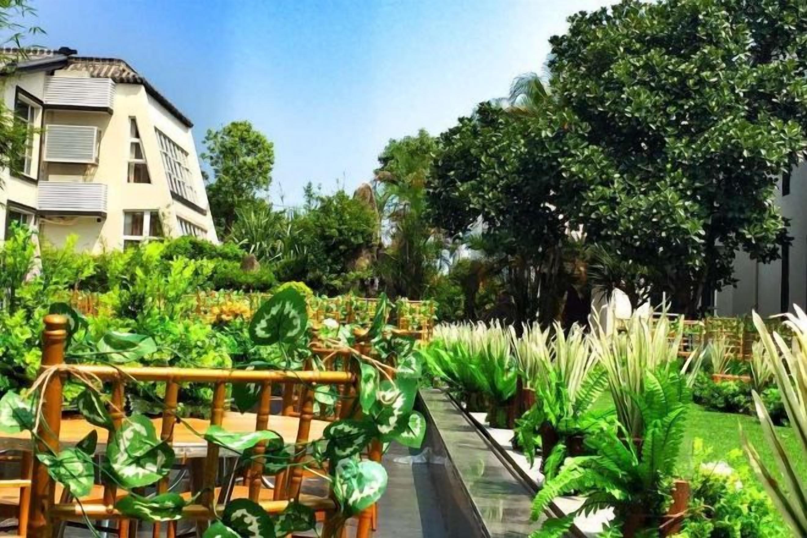 A garden pathway with various plants and a wooden fence.