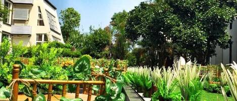 A garden pathway with various plants and a wooden fence.