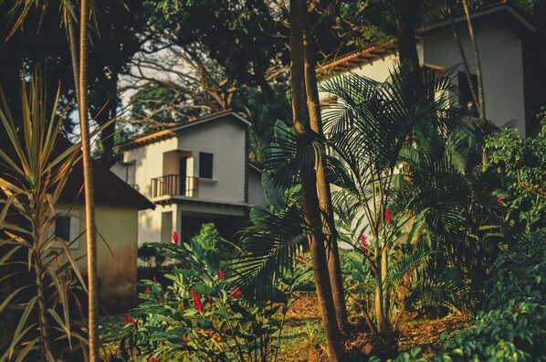 A residential area with a house surrounded by lush greenery and palm trees.