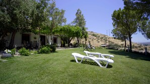 A grassy outdoor area with white lounge chairs, a building with a patio, and trees. - Accommodation LA GUITARRA ANDALUZA  (Loja)
