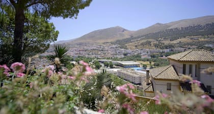 Alojamiento LA GUITARRA ANDALUZA