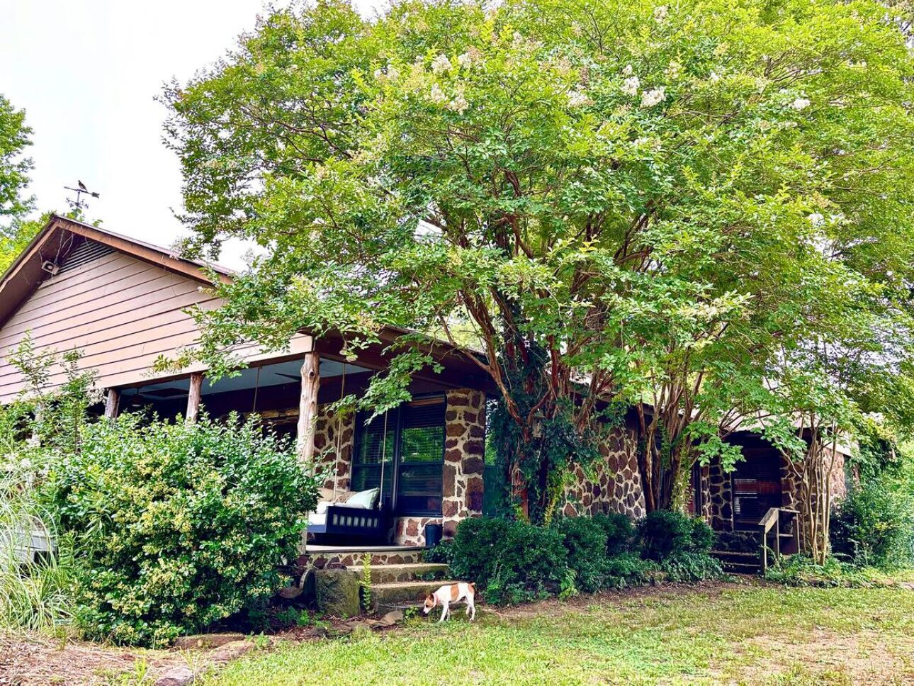 Charming 4-bedroom cabin in Coffeeville with lake and nature trails