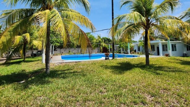 Área de piscina com palmeiras, um edifício branco e um céu azul límpido.