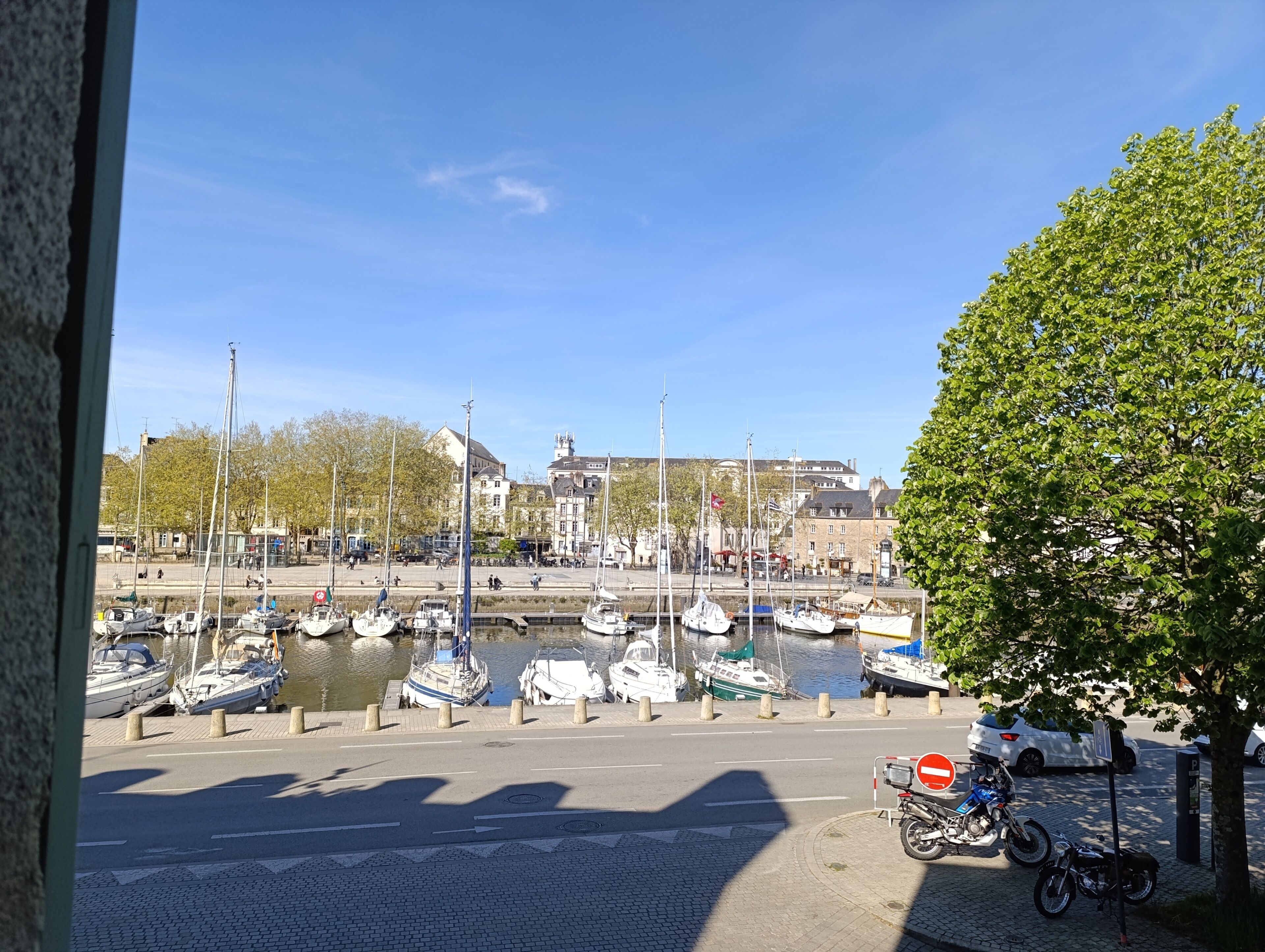 A marina with boats docked, a clear sky, and a tree in the foreground.