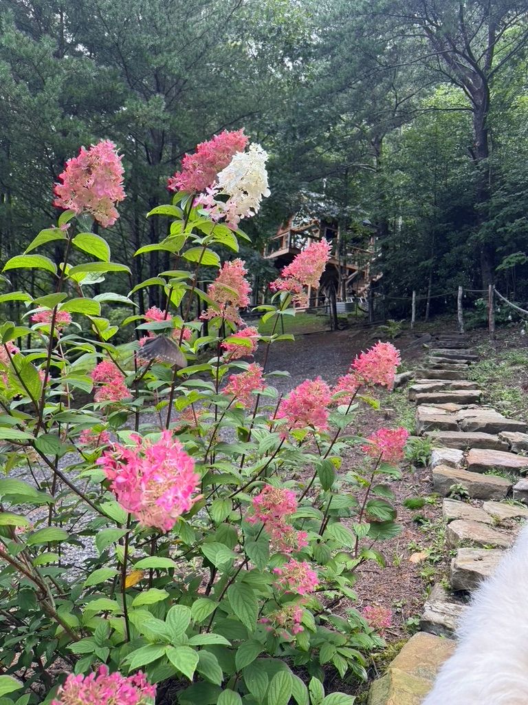 A garden with pink and white flowers, a stone pathway, and a wooden structure in the background.