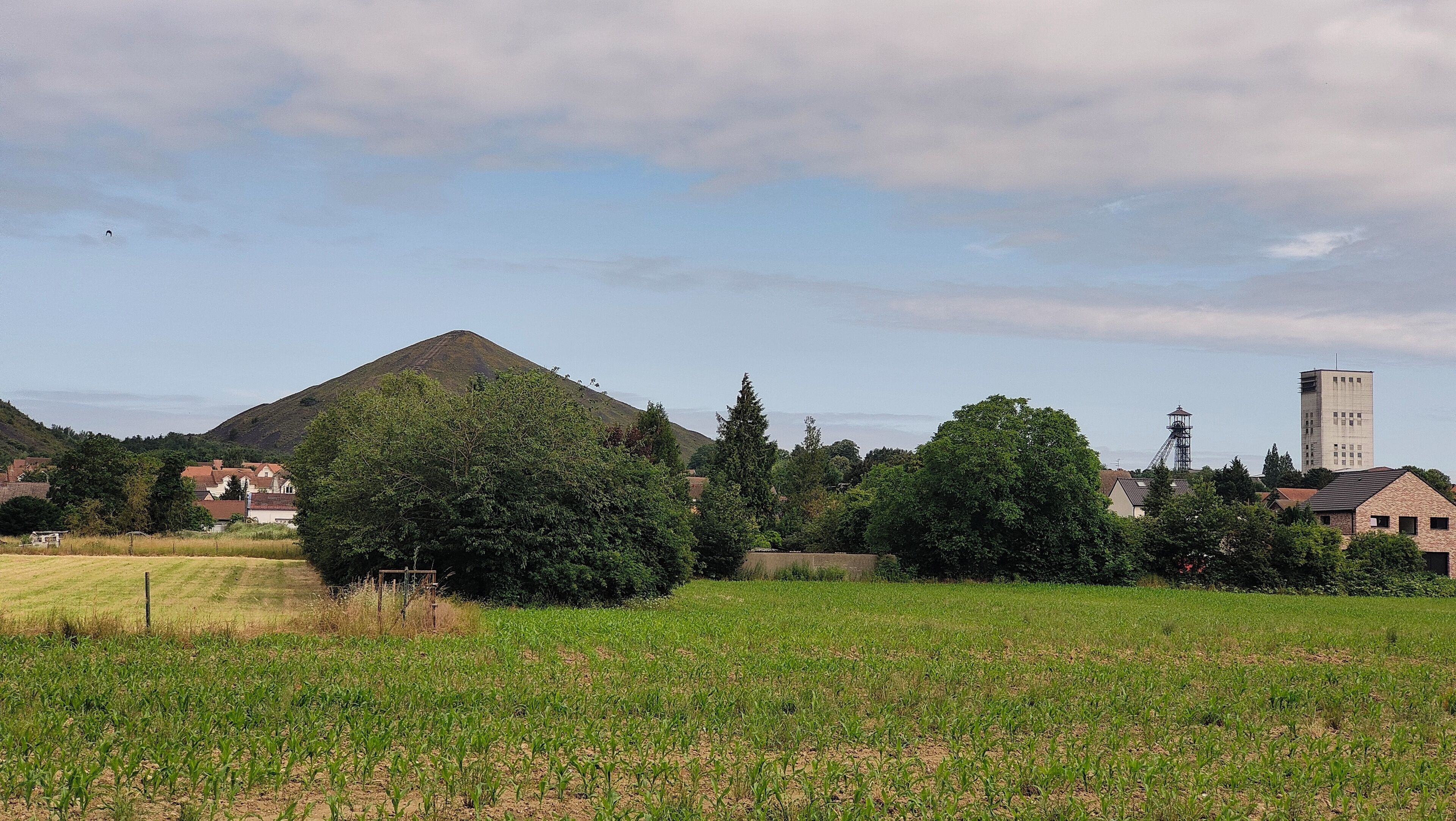 Un paysage rural avec une colline, des arbres et des bâtiments, dont une tour.