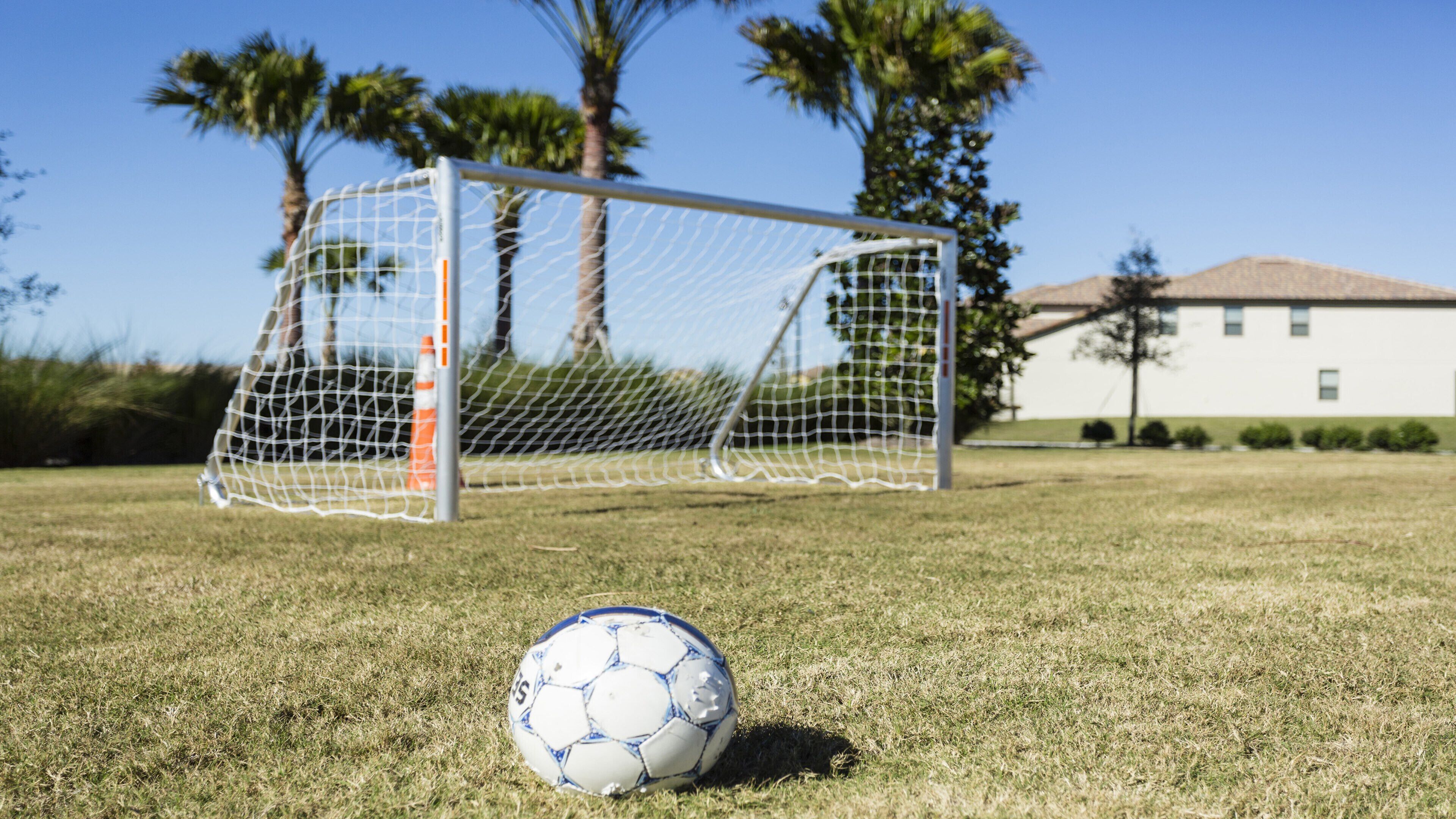 Un balón de fútbol en un campo cubierto de césped con un arco de portería al fondo.