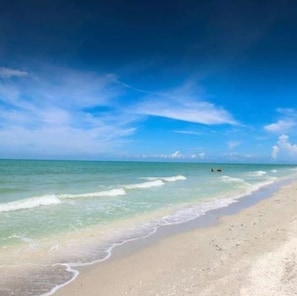 On the beach - Newly Reopened Luxury Sanibel Island 2-bedroom condo! Steps to the Beach! (Sanibel)