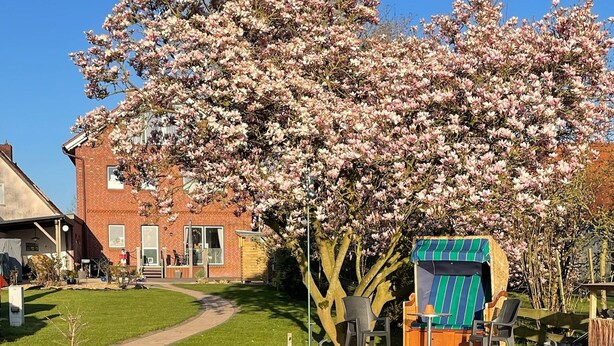 Un jardin avec un étang, un bâtiment en briques et un espace de repos abrité.