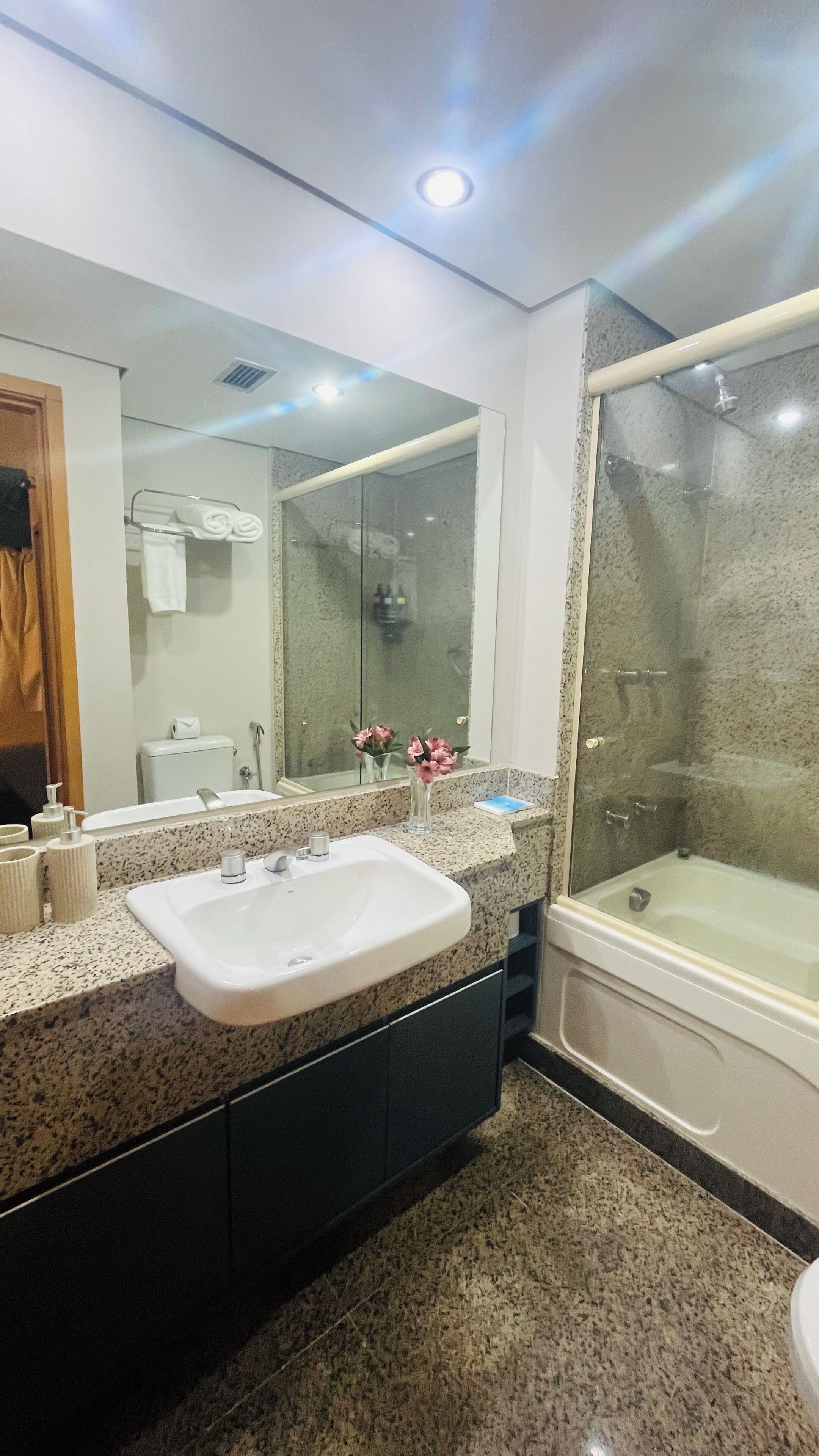 Hair dryer, towels, soap, toilet paper