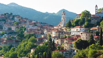A hillside town with historic buildings, a prominent clock tower, and lush greenery.
