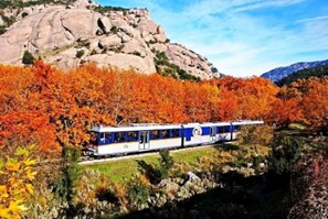 A train traveling through a forest with autumn foliage. - Kalavrita Winter Retreat - Homely Spacious Chalet (Kalavrita)