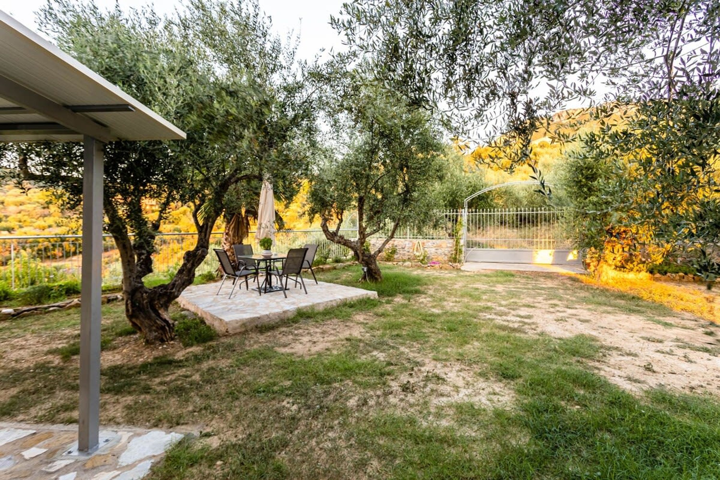 An outdoor patio with a table and chairs, surrounded by olive trees and a stone pathway.