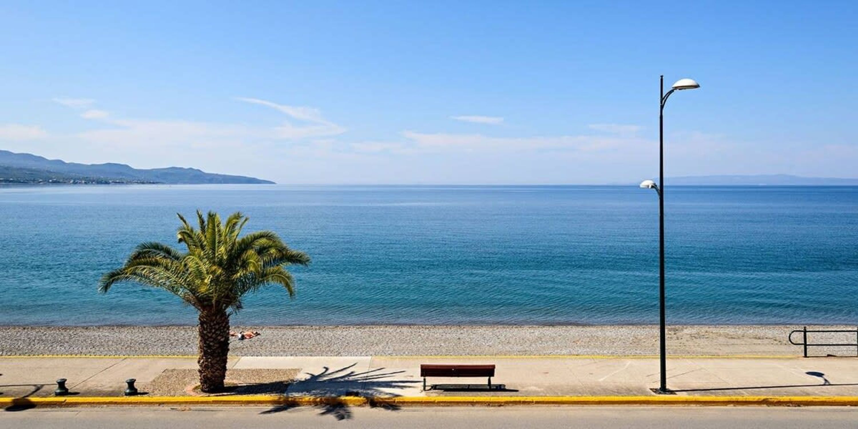 A coastal road with a bench, a street lamp, and a palm tree.
