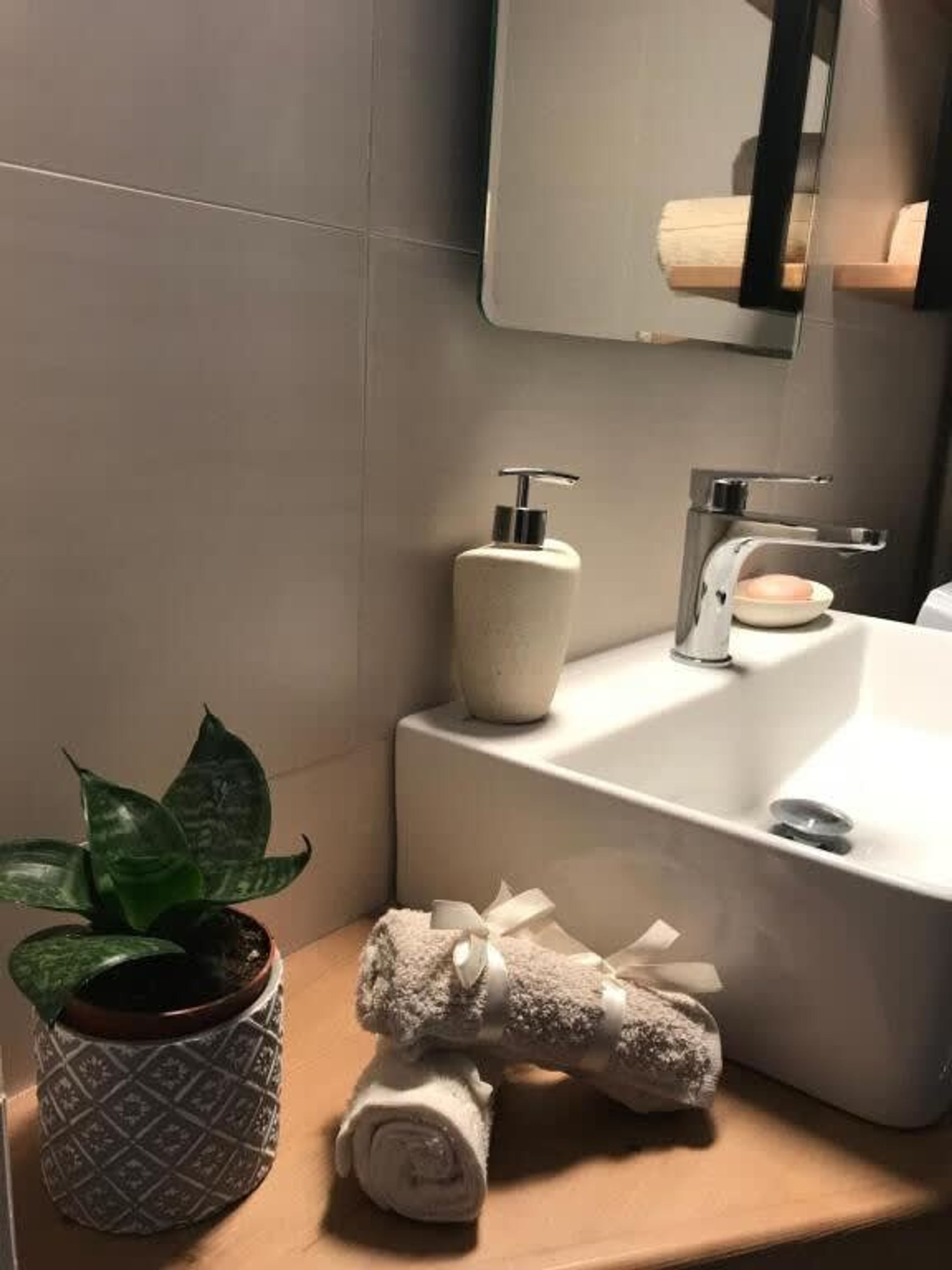 Un baño con un lavamanos blanco, un espejo, un dispensador de jabón y una planta en maceta.