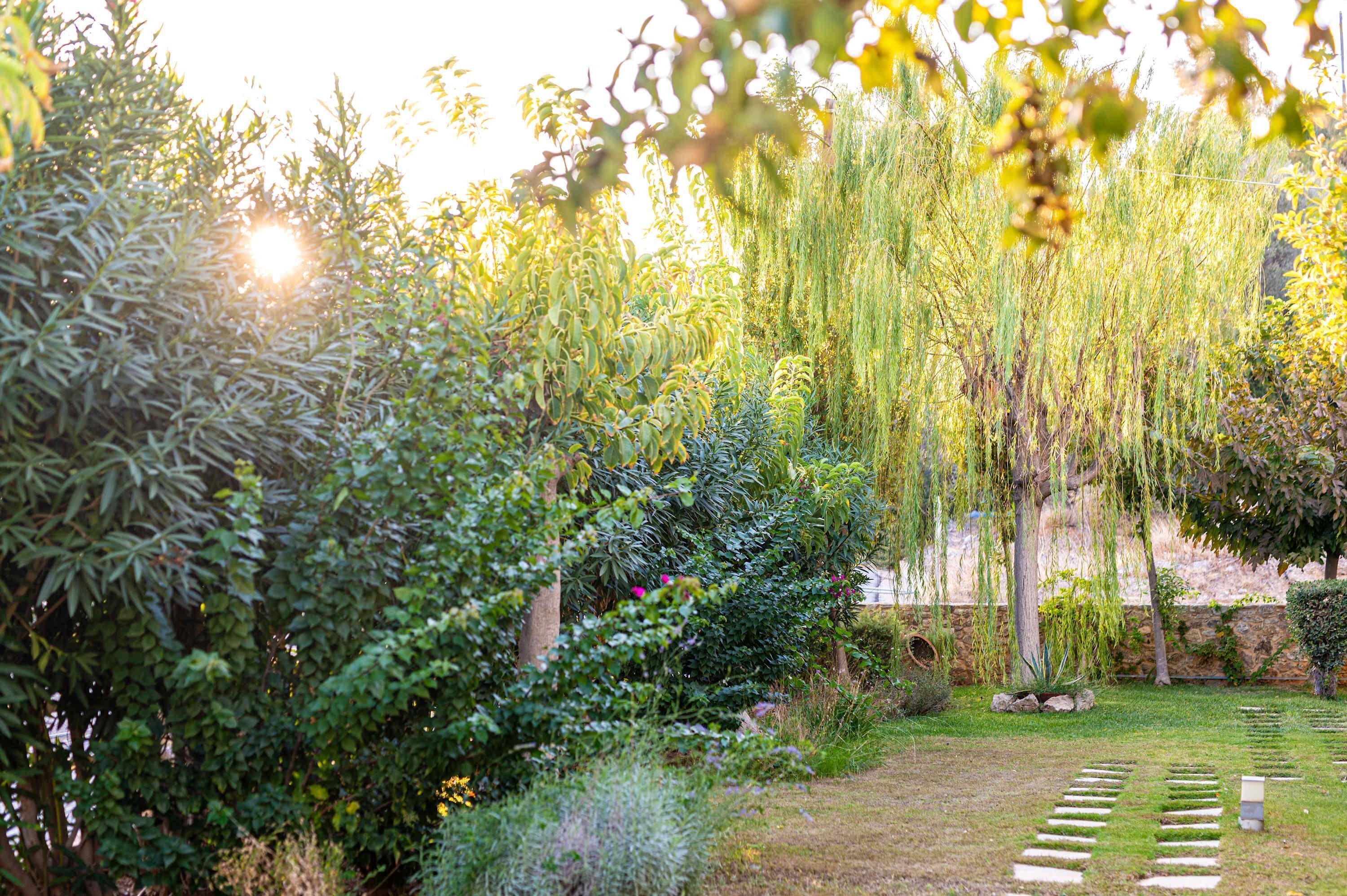 Hus | 1 soverom og internett