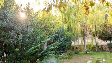 Casa | 1 habitación y internet