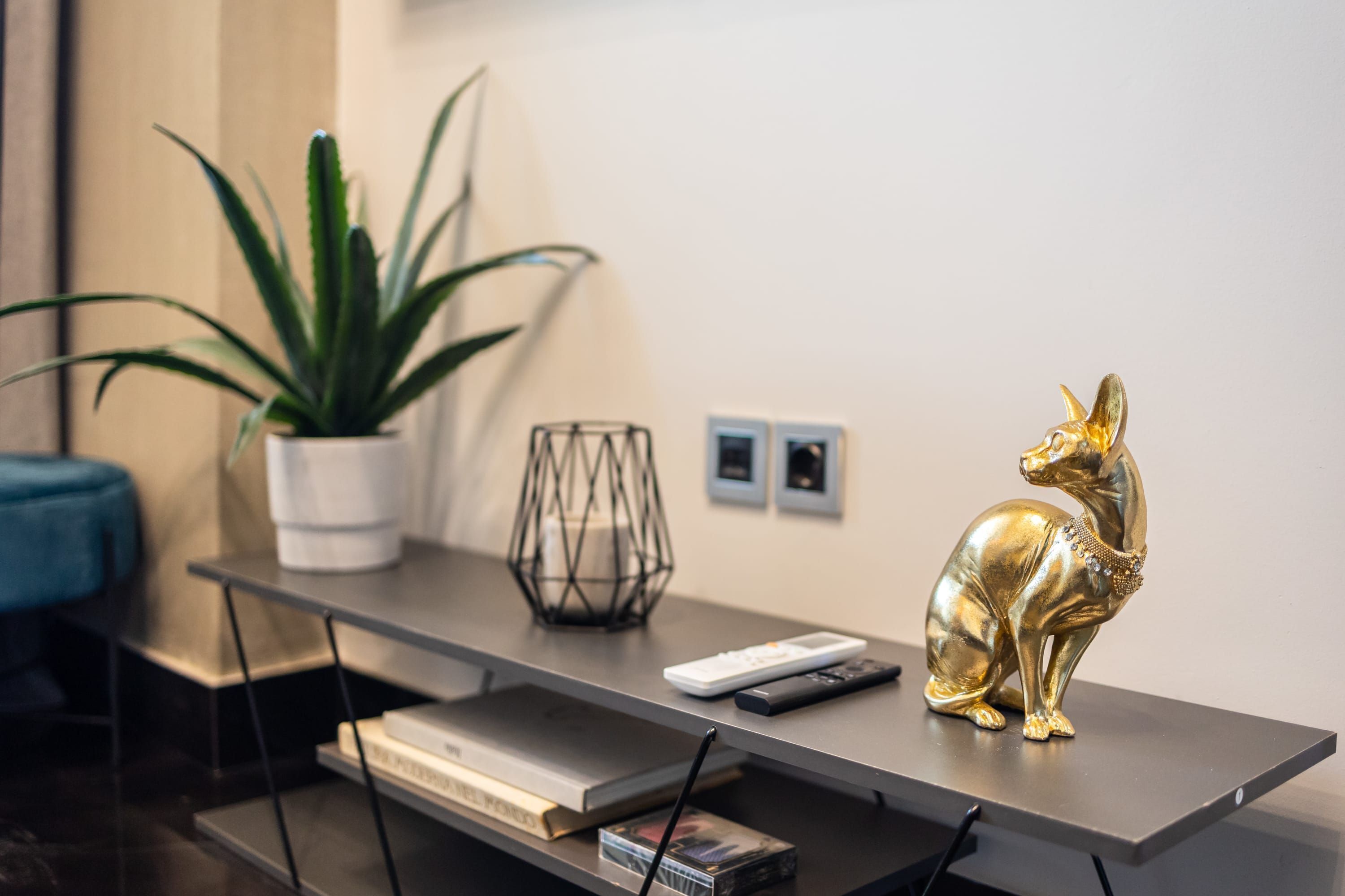 A modern living room with a flat-screen TV, a gold statue, a potted plant, and a few framed pictures on the wall.