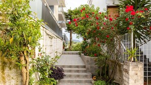 A narrow staircase flanked by lush greenery and red flowers, leading to a building with a white exterior and a visible balcony. - Seaside Family Haven - Avia s Spacious Getaway (West Mani)