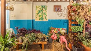Une pièce avec un plancher en bois, un mur bleu et blanc, un banc en bois et diverses plantes en pot.