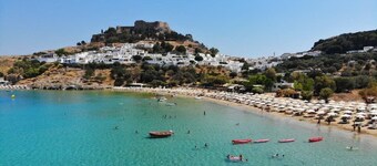 ローズ アルハンゲロス エスケープ-ネスト アモング ガーデン