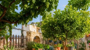 Une cour pavée de pierres, agrémentée de plantes en pot et entourée d’une clôture en bois.