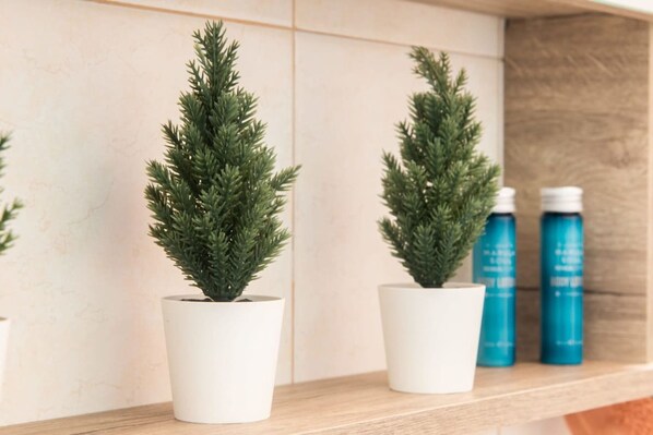 Two potted evergreen plants on a shelf with two blue bottles in the background.