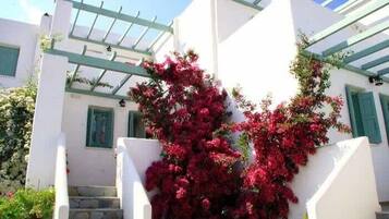 Apartment, Smoking | 2 bedrooms, Internet