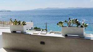 Une terrasse sur le toit, agrémentée de plantes en pot et offrant une vue sur la mer.