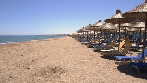 Μια παραλία με σειρές από ξαπλώστρες και ομπρέλες με καλάμια.