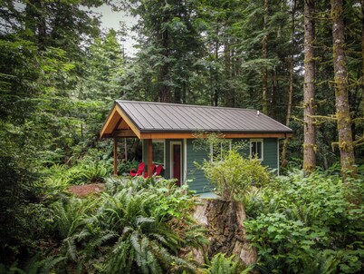 Private Cabin in the Redwood Forest