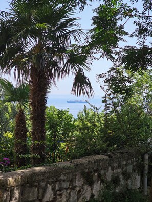 Property grounds - Cozy rustical apartment with WiFi and AC in charming Rijeka (Rijeka)