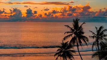A sunset over the ocean with palm trees silhouetted against the sky.