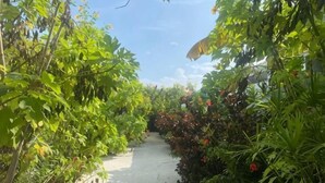 A pathway surrounded by lush greenery and flowering plants.