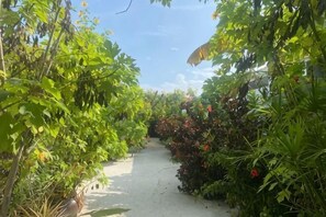 A pathway surrounded by lush greenery and flowering plants.